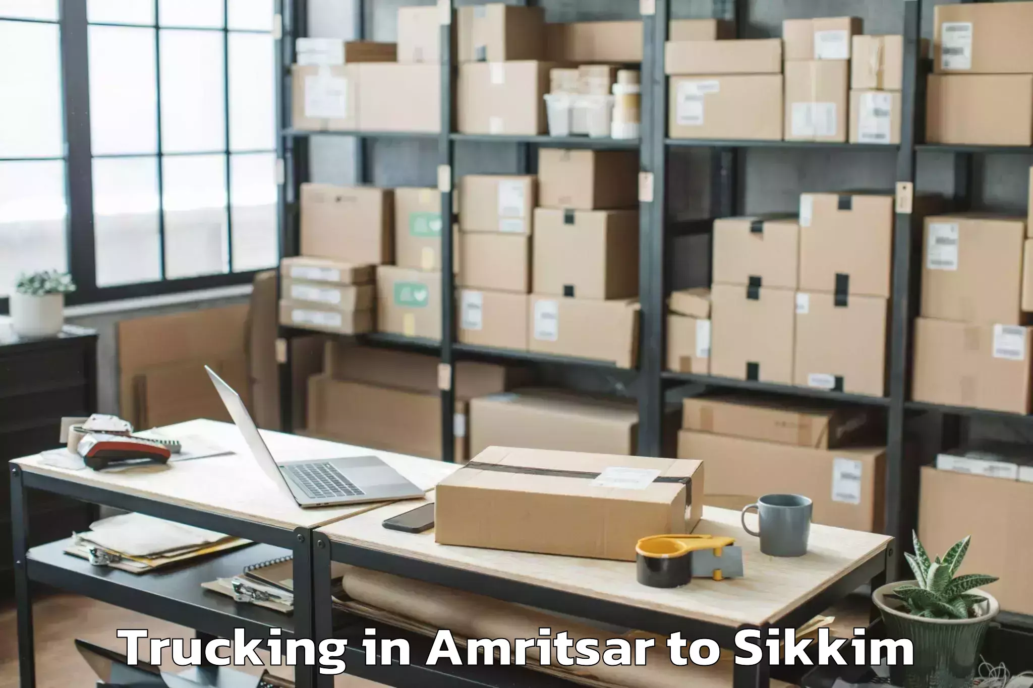 Book Amritsar to Ravong Trucking Online